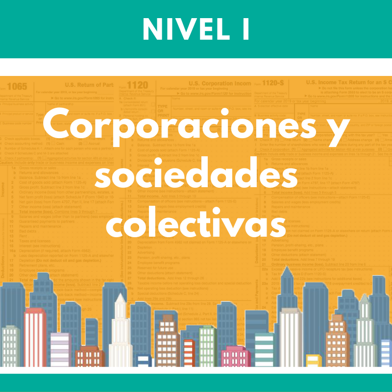 Nivel I: Corporaciones y sociedades colectivas