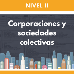 Nivel II: Corporaciones y sociedades colectivas